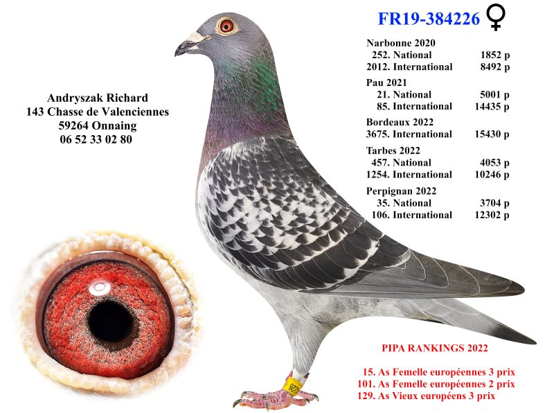 FR19 384226 andrySZAK