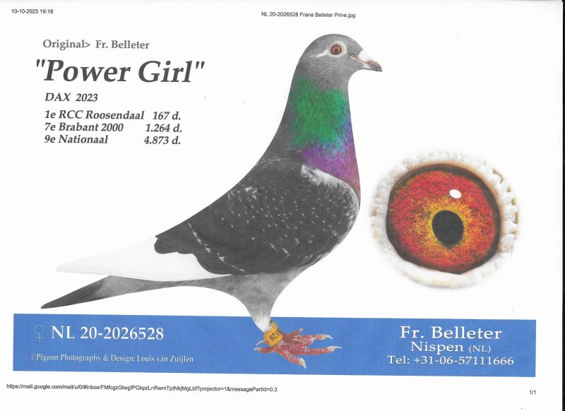 Power Gril 20-528 001
