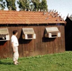 N° 8 : Boisson Daniel