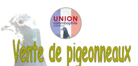 Pré-Vente : UNION de HAZEBROUCK