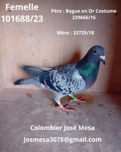 N° 28 : José MESA (Wattrelos)