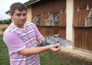 N° 31 : JEAN Rémy – Belgique