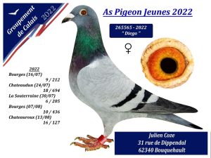 Coze Julien