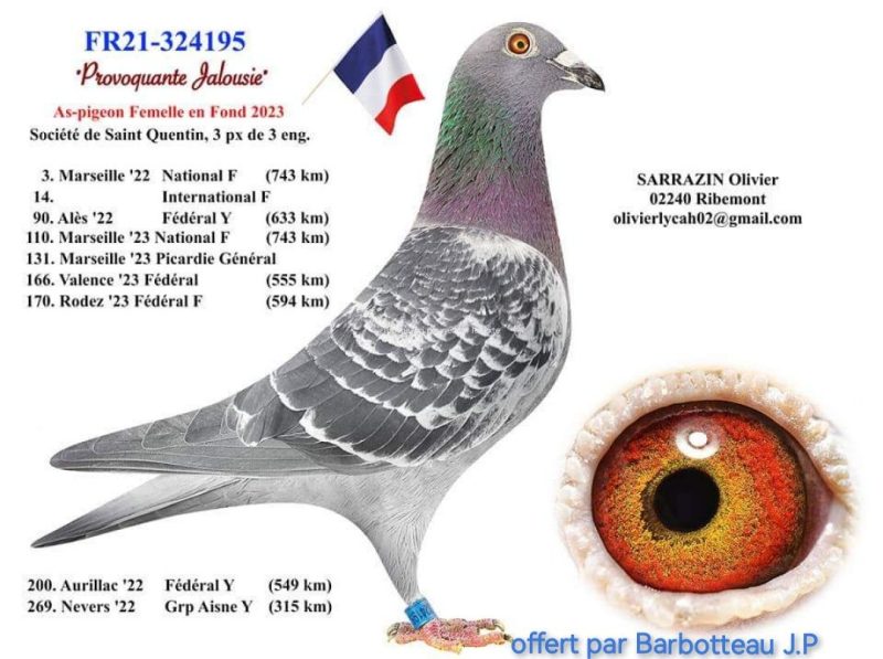 Sarrazin Olivier Provocante Jalousie