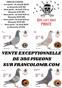 Vente de Bons : LOFT PIRATE – 1