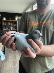 N° 09 : Delépine Lyvan de Woignarue