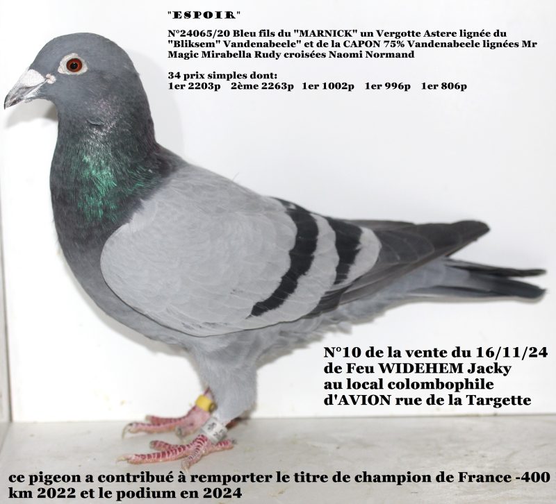 Espoir