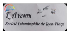 Pré-Vente de Bons : L&rsquo;Avenir de LOON-PLAGE