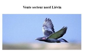 Pré-Vente : Secteur NORD de LIEVIN