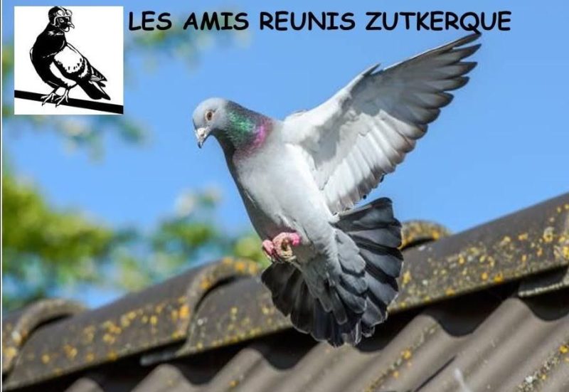 Vente de Bons : Les Amis Réunis de ZUTKERQUE