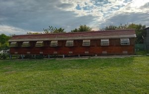 N° 23 : DECOCK Frères de BEAUVOIR WAVANS