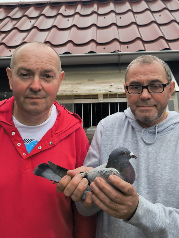 N° 17 : Droque Alexis de Valhuon