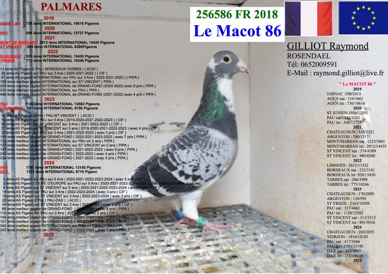02a Photo à Mettre Au Descriptif Gilliot