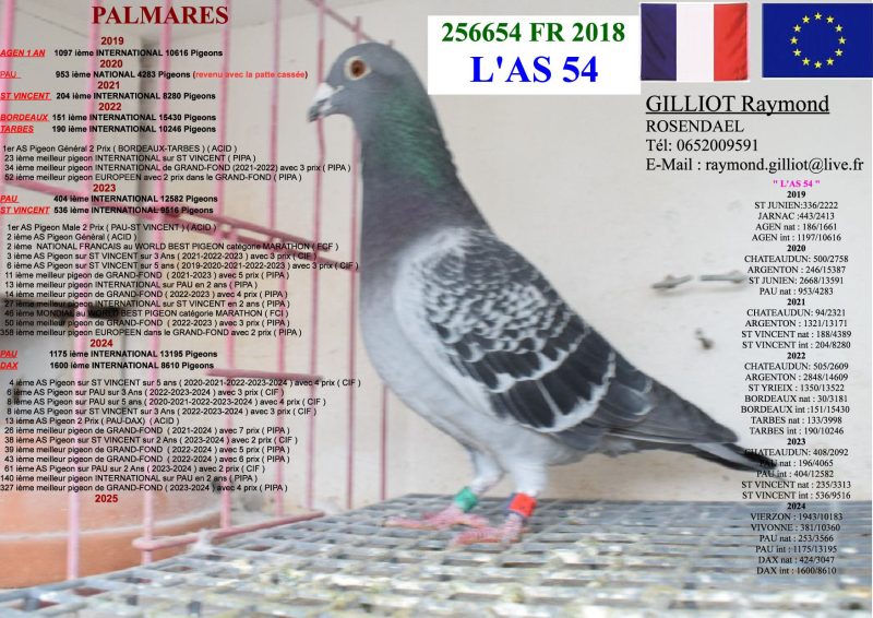 02b Photo à Mettre Au Descriptif Gilliot