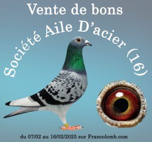 Vente de Bons : L’Aile d’Acier de CHAMPNIERS (Angoulême)