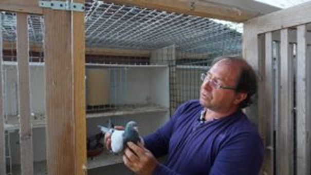 N° 2 : Brunet David de Holque