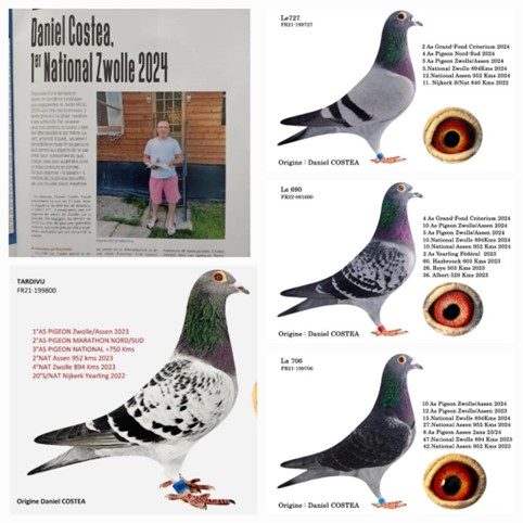 Costea 2