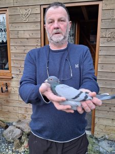 N° 14 : Maes Pascal