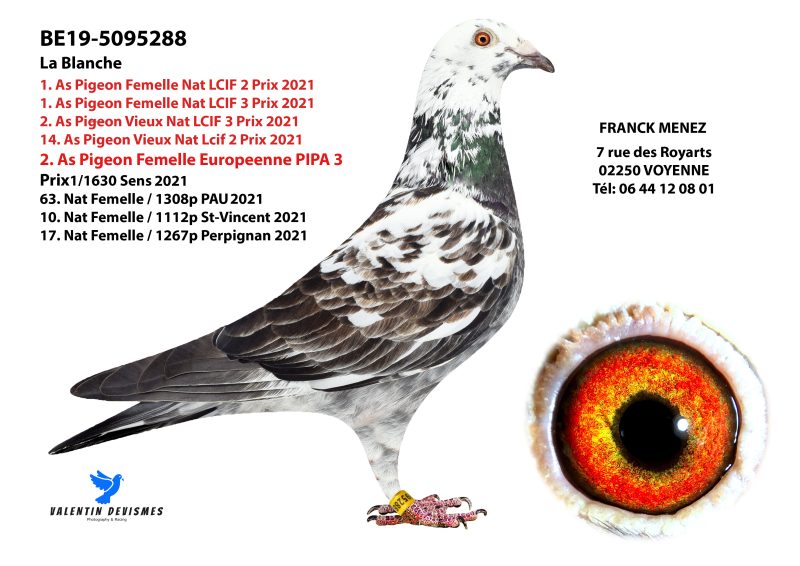 Menez 2