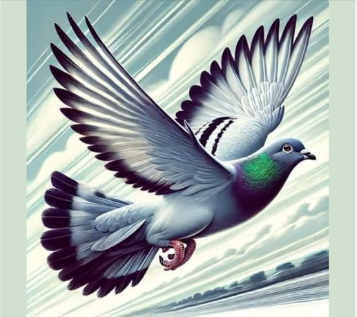 Vente de Bons : ECLAIR de VITRY EN ARTOIS