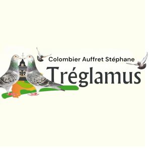 N° 4 : Stéphane AUFFRET de TREGLAMUS