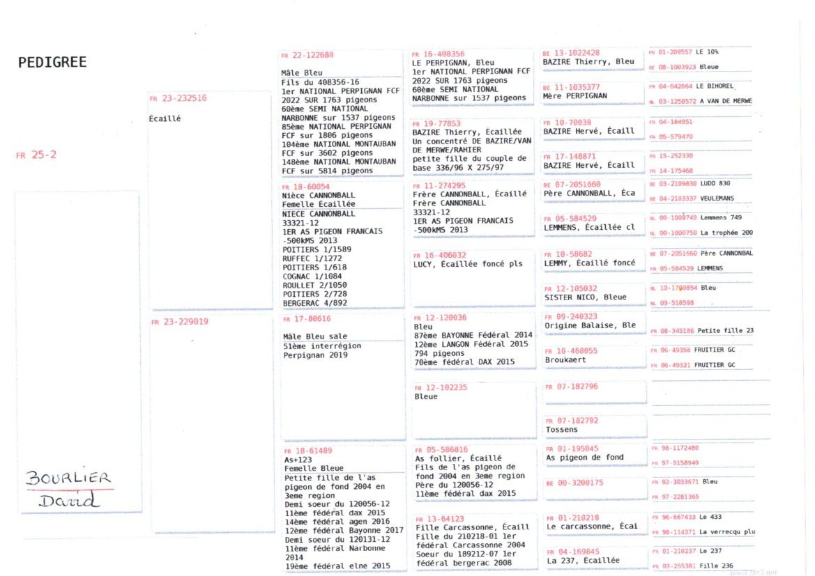 Bourlier Pedigree