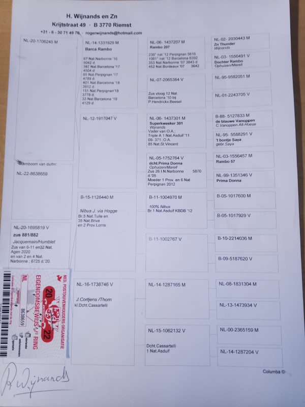 Clerbois 1000000287