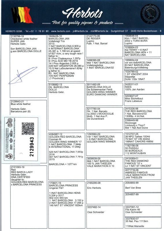 Delignou Femelle Vente 3r Le 17022025 006