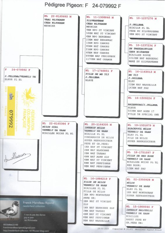 F 24 079992f
