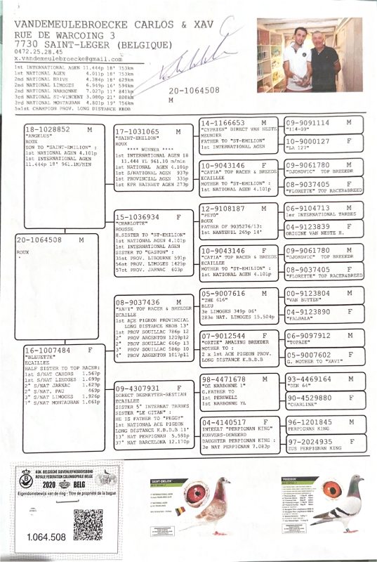 Garcia Vandemeulebroecke Carlos & Xav (1)1