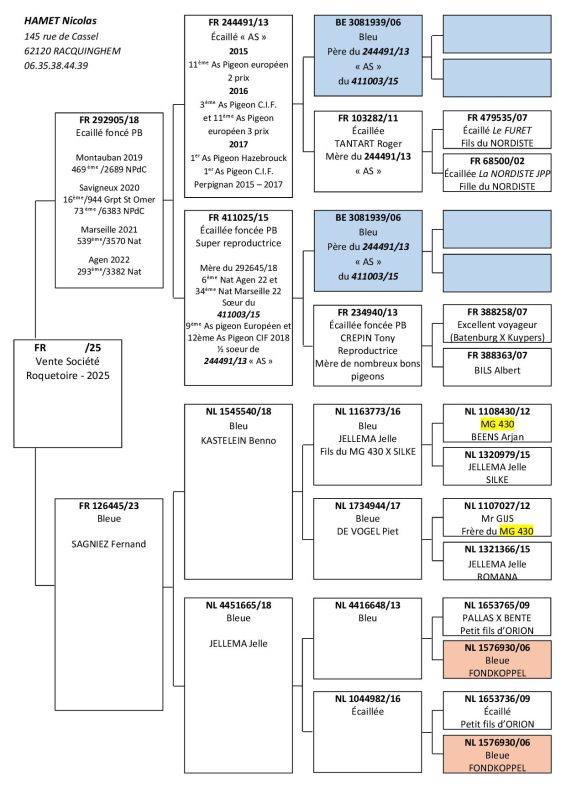 Hamet Vente Roquetoire 1