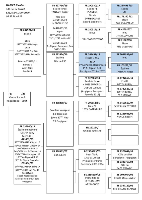 Hamet Vente Roquetoire 2
