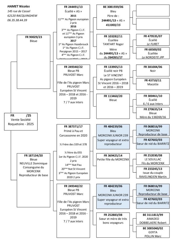 Hamet Vente Roquetoire 3