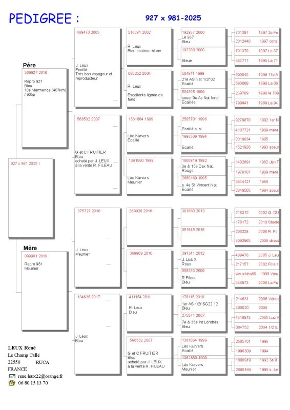 Leux Pedigree 927 X 981