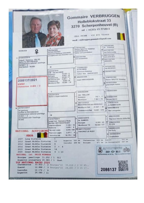 Mansel Docs2