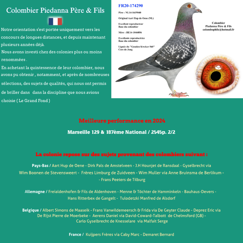 Piedanna