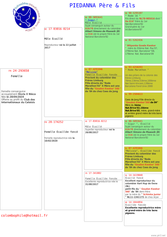 Piedanna Pedigree Fr24 293658