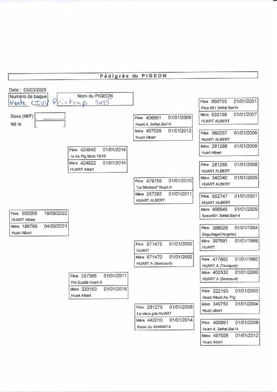 Pedigree Andryszak
