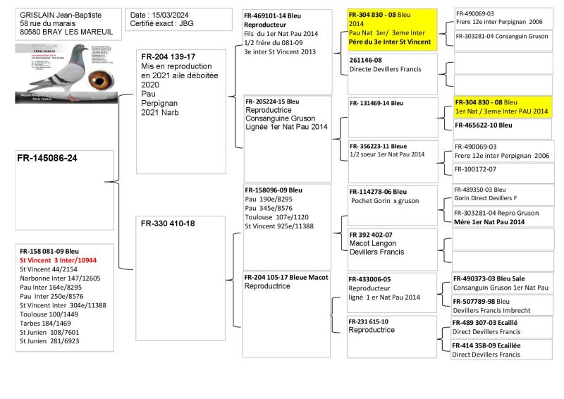 Pedigree Mère Du Jeune Lievre