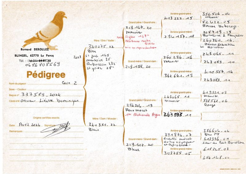 Pedigree Père Du Jeune Lievre