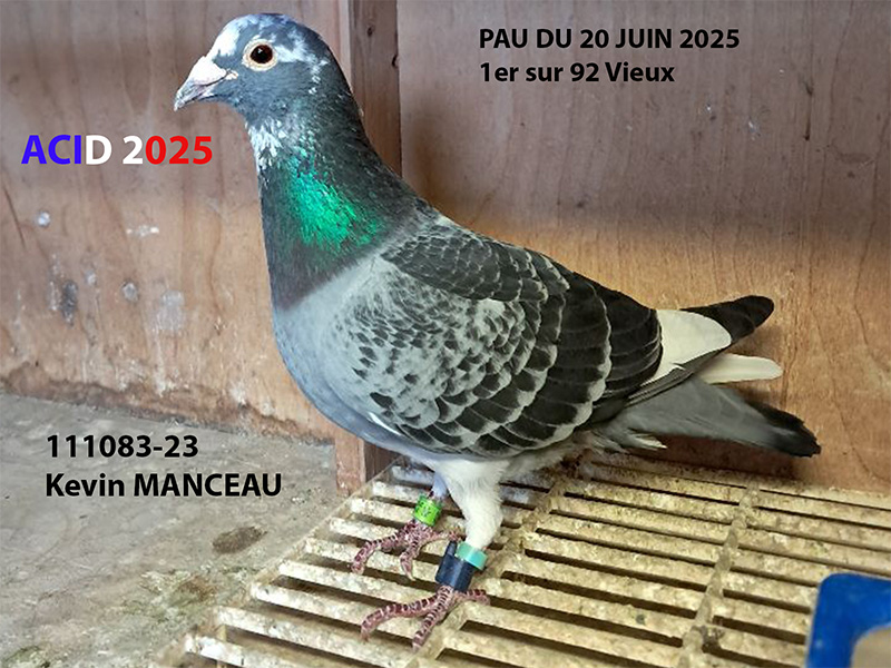 Vfr acid2025 01a photo a mettre sur le descriptif manceau