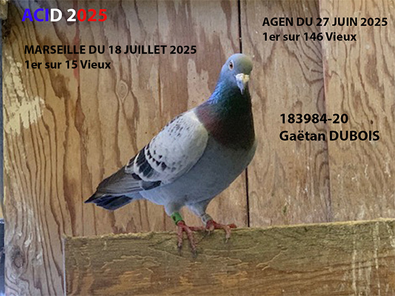 Vfr acid2025 02a photo a mettre sur le descriptif dubois