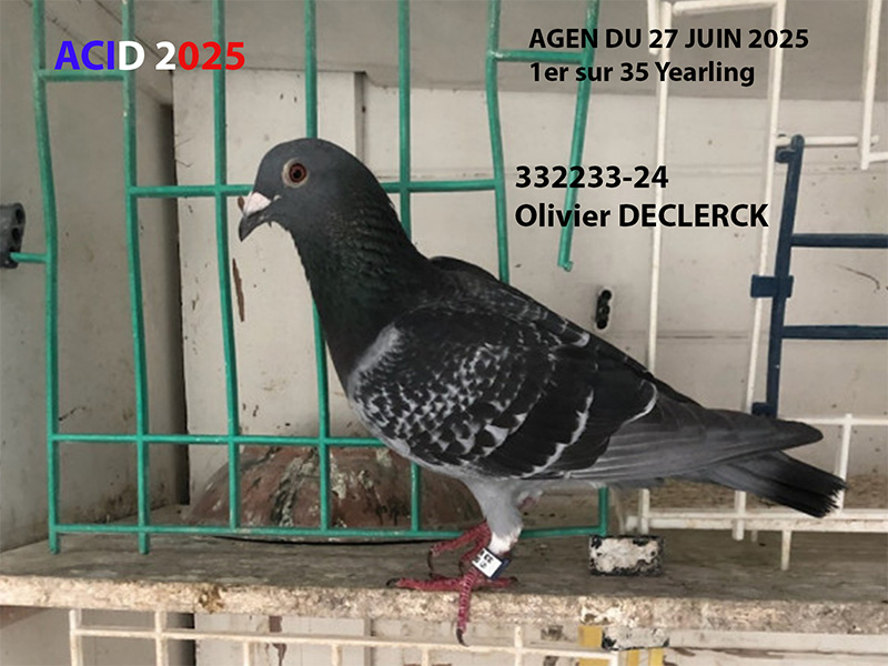 Vfr acid2025 03a photo a mettre sur le descriptif declerck