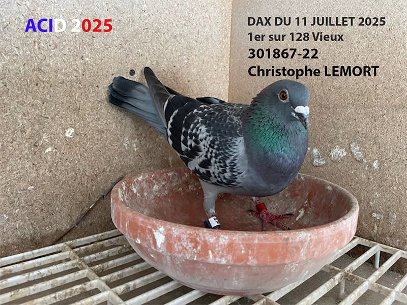 Vfr acid2025 05a photo a mettre sur le descriptif lemort