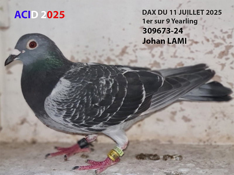 Vfr acid2025 06a photo a mettre sur le descriptif lami johan