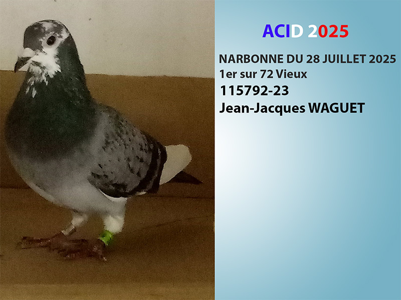 Vfr acid2025 07a photo a mettre sur le descriptif waguet