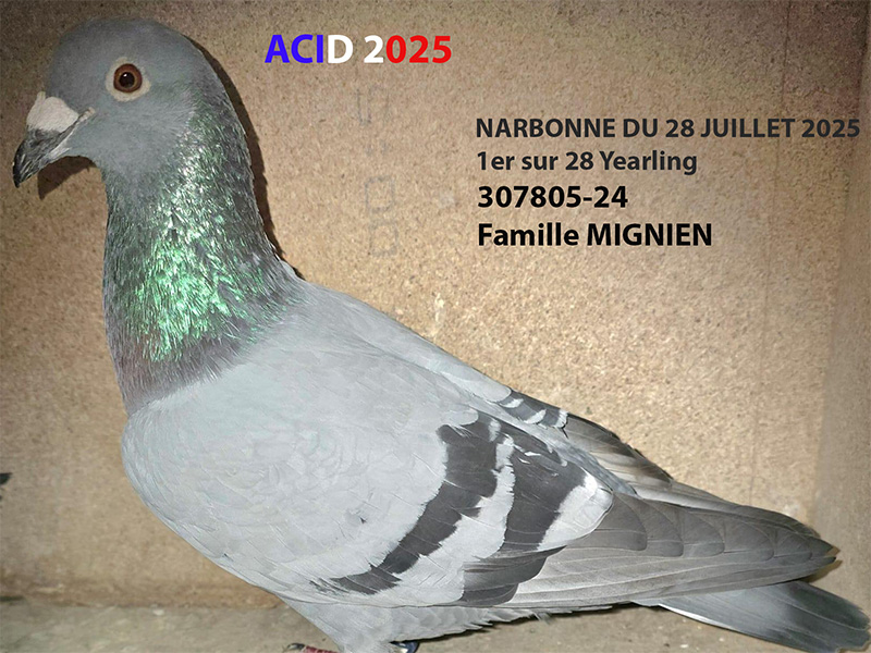 Vfr acid2025 08a photo a mettre sur le descriptif mignien