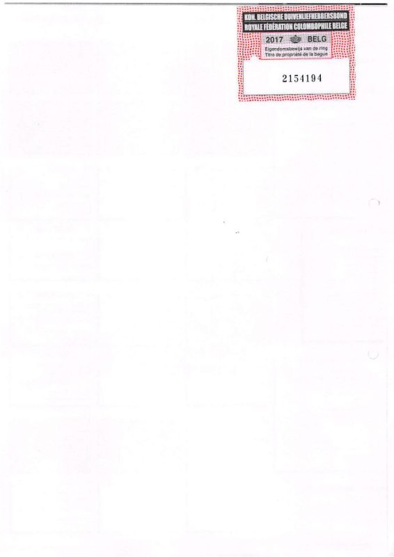 2847054