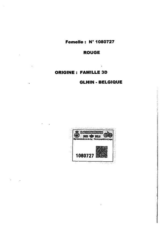 2847081
