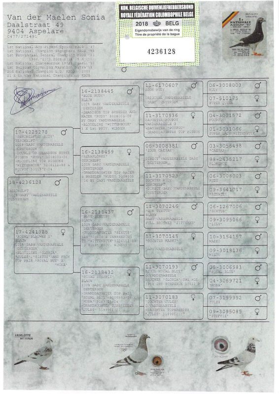 2847082
